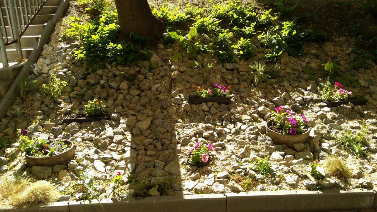 Gesztenyes Apartman ミシュコルツ エクステリア 写真