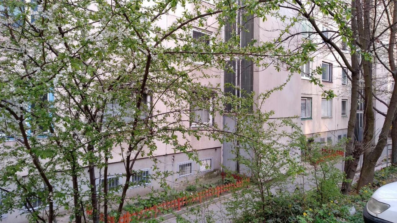 Gesztenyes Apartman ミシュコルツ エクステリア 写真